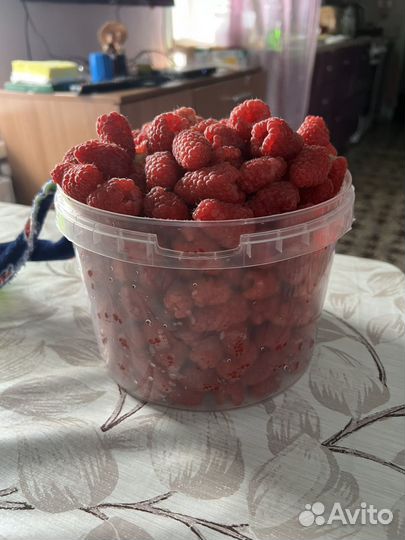 Малина отборная крупная 3-4см