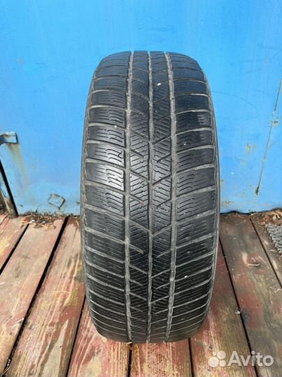 Barum Polaris 5 205/55 R16