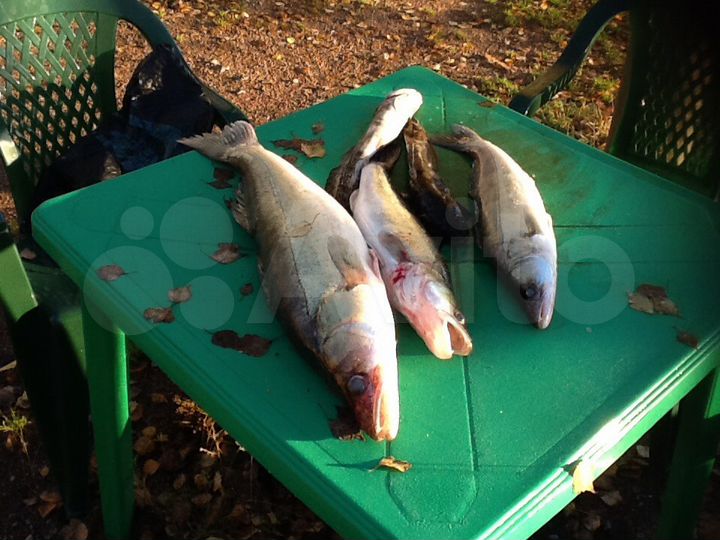 Коттедж 40 м² на участке 2 сот.