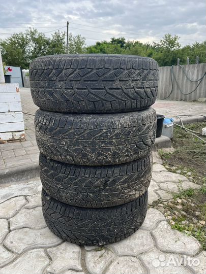 Tigar Winter 215/50 R17