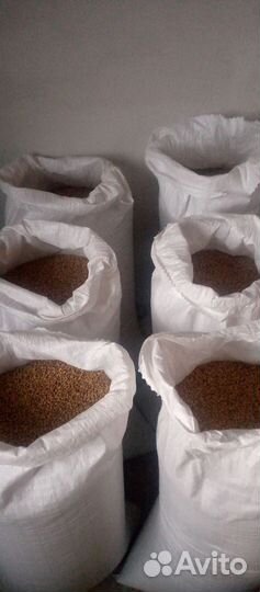 Солод светлый из пивоваренного двухрядного ячменя