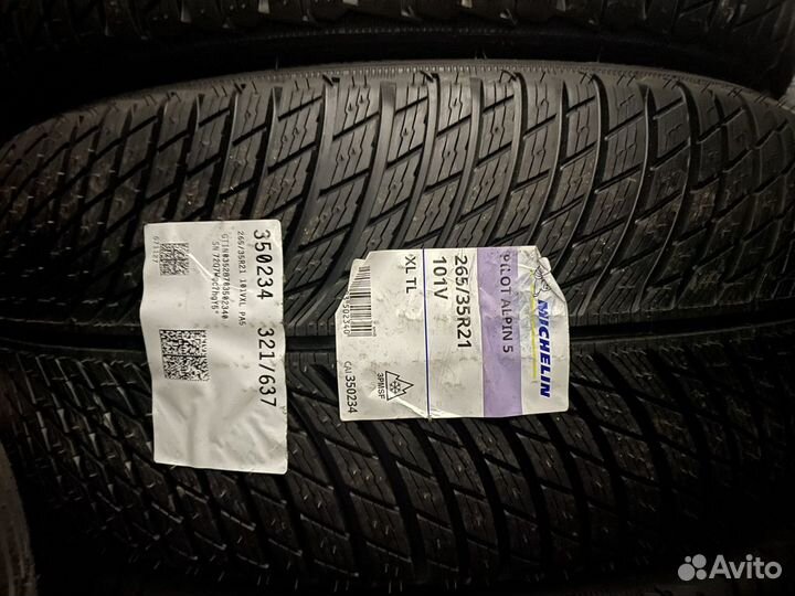 Michelin Pilot Alpin 5 265/35 R21 и 305/30 R21 104V