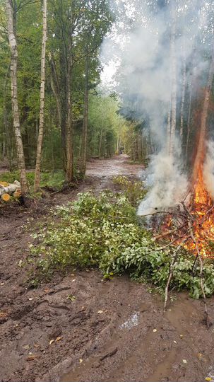 Участок 4,59 га (СНТ, ДНП)