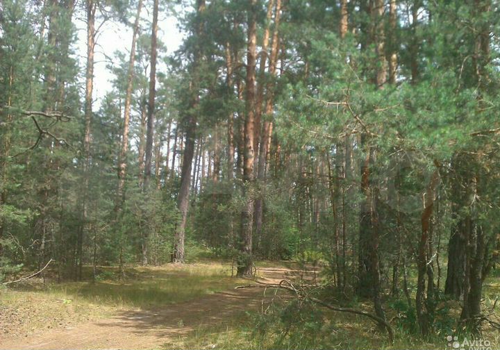 Участок 65 сот. (ИЖС)