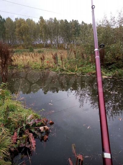 Участок 12 сот. (СНТ, ДНП)