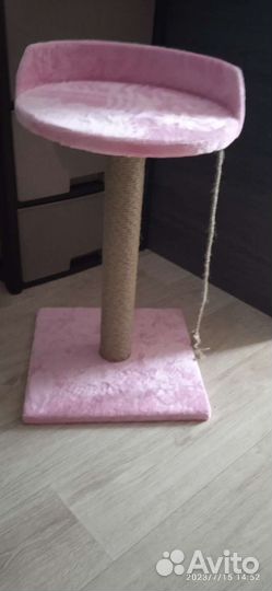 Когтеточка