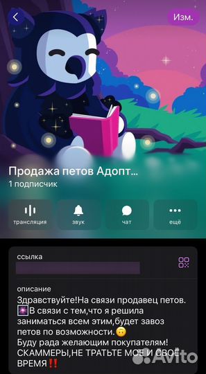 Петы адопт ми