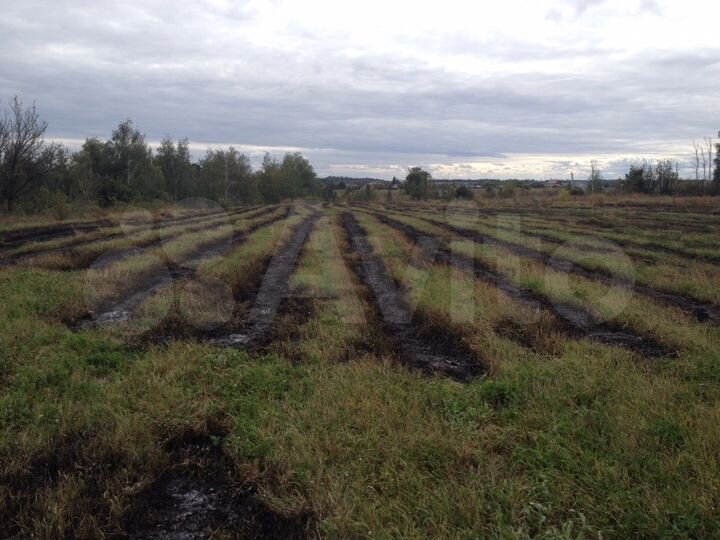 Участок 40 сот. (ИЖС)