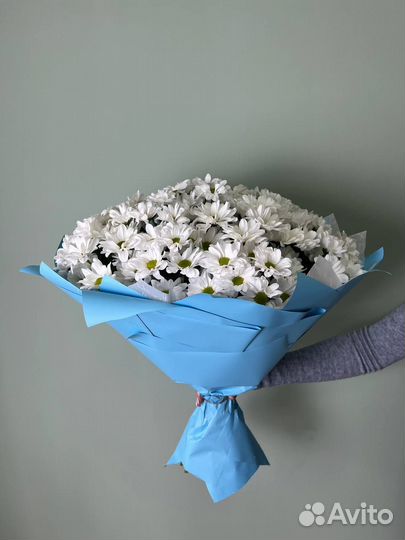 Хризантема 15 шт. в упаковке цветы с доставкой