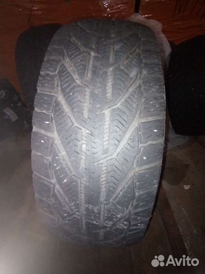 Tigar Ice 195/55 R16