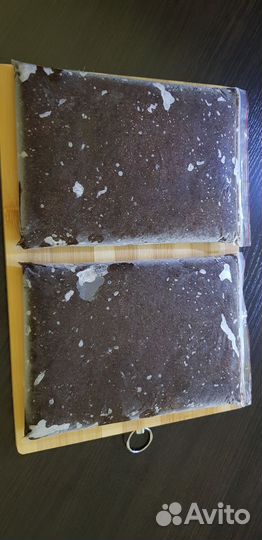 Дафния свежемороженая