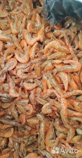 Азовская креветка. Свежий вылов