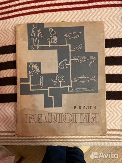 К.Вилли Биология