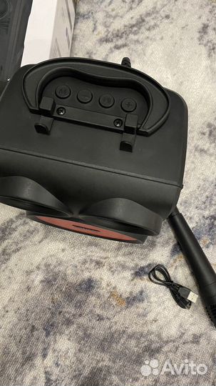 Колонкa с микрофоном peterhot pth 404