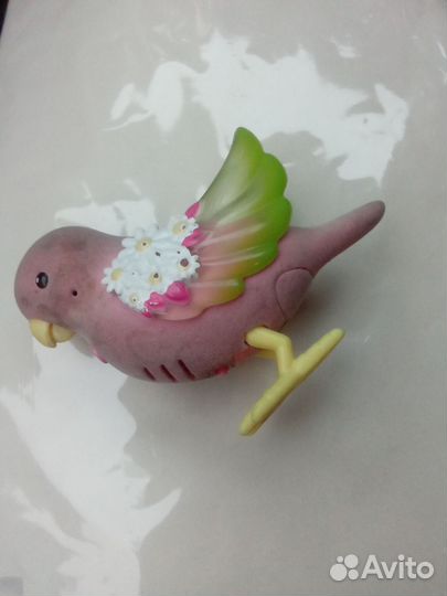 Попугайчик