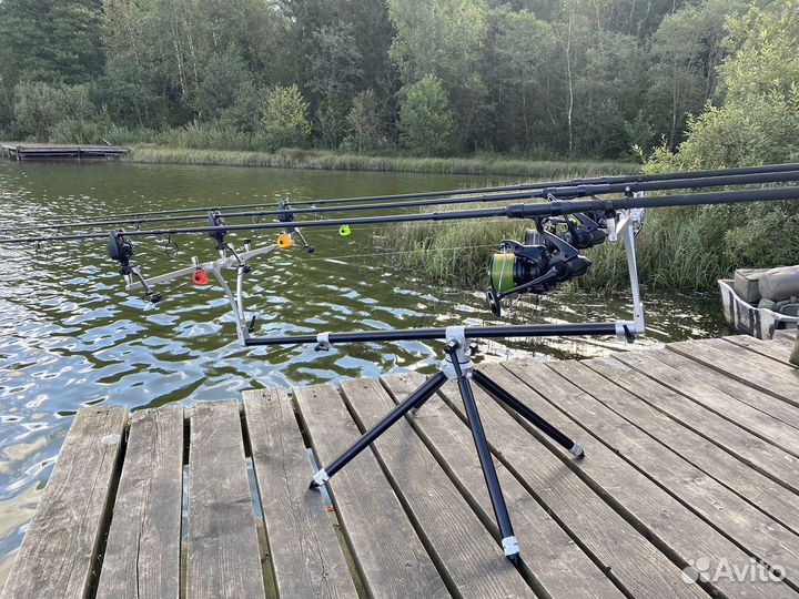 Род под meccanica