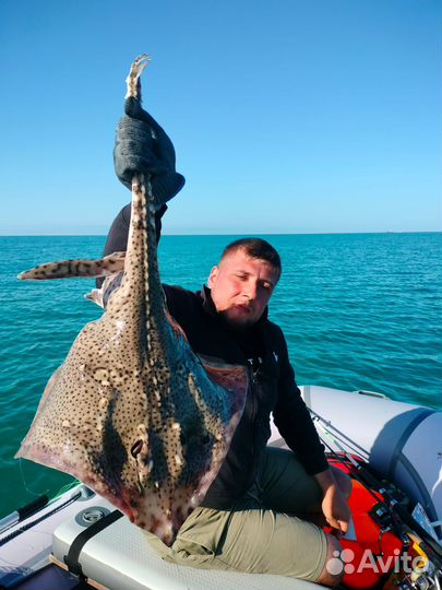 Рыбалка VIP на крупную рыбу. Мальчишник.Экскурсии