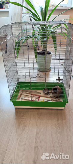 Клетка для птиц