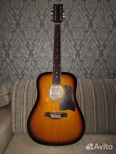 12 ти струнная гитара