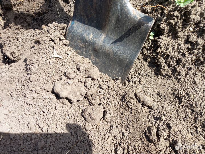 Без комьев чернозем Навоз прелый крс,ЗИЛ,газ,камаз