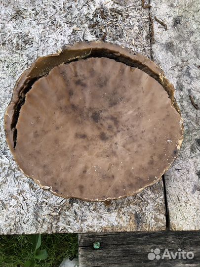 Воск пчелиный