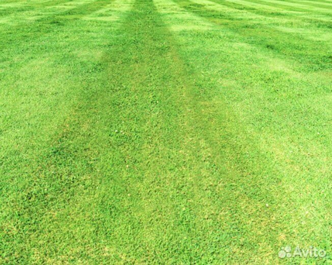 Косим траву