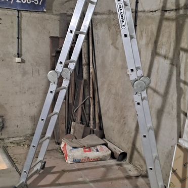 Азавак, взрослый пёс