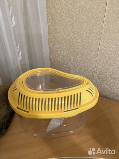 Террариум переноска