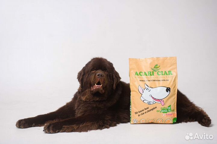 Корм для собак Акари Киар и Де люкс Дог