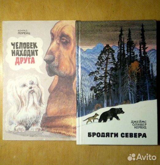 Трудовое право. Учебник. 2001