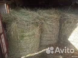 Сено в рулонах 11 рулонов
