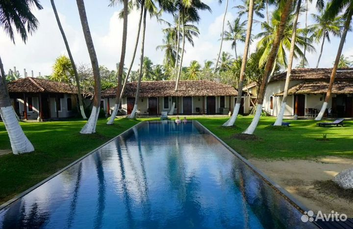 Путешествие на Шри-Ланку 6 нч завтраки