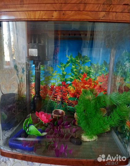 Аквариум для рыбок