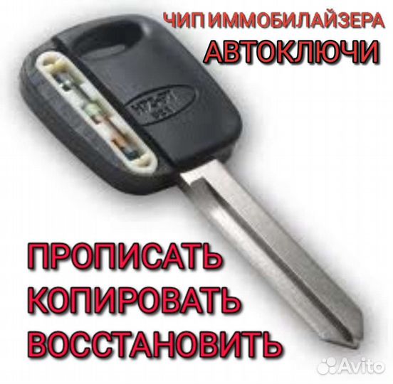 Чип иммобилайзера