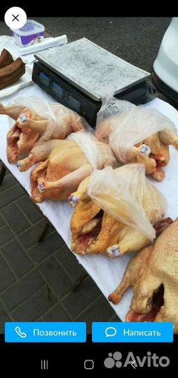 Куры бройлерные выращены на домашнем корме муларды