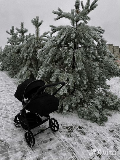 Прогулочная коляска с реверсивным блоком