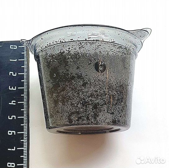 Мотыль Крупный Живой Фасованный долгохранящийся