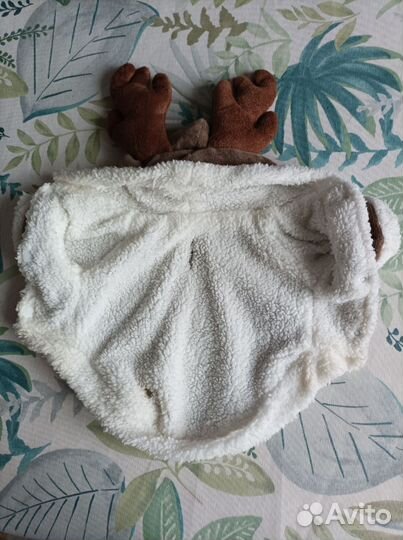 Одежда для маленьких собак