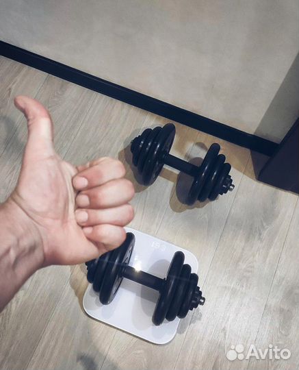 Гантели разборные, Диски (блины)