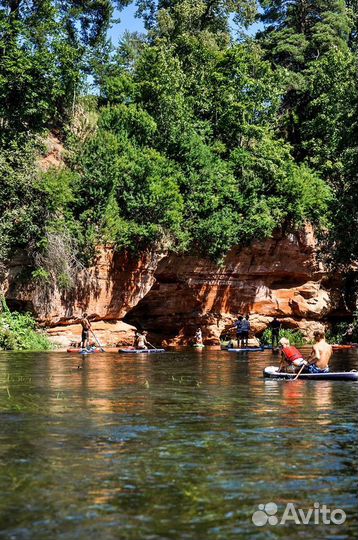 Прогулки на сапах река Оредеж