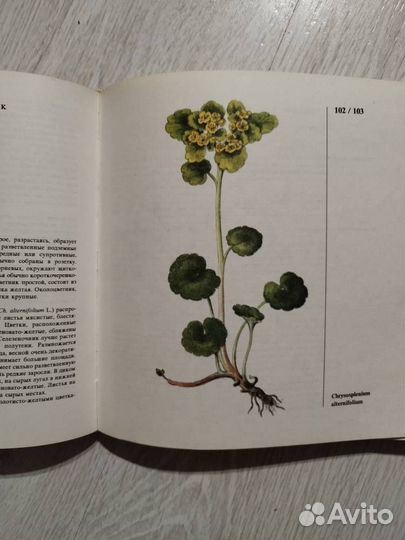 Книги о растениях и садоводстве