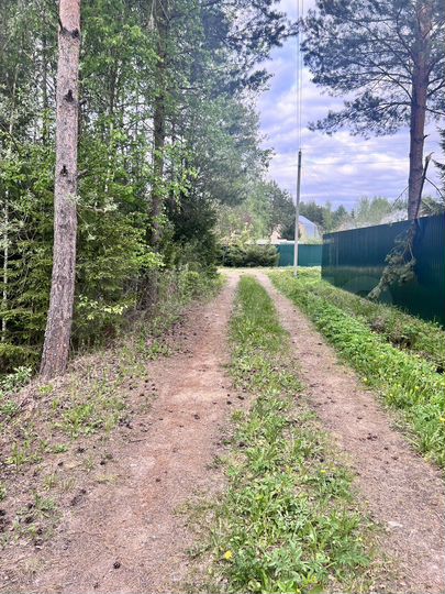 Участок 10 сот. (СНТ, ДНП)