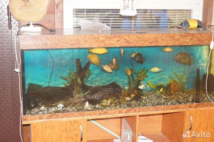 Аквариум