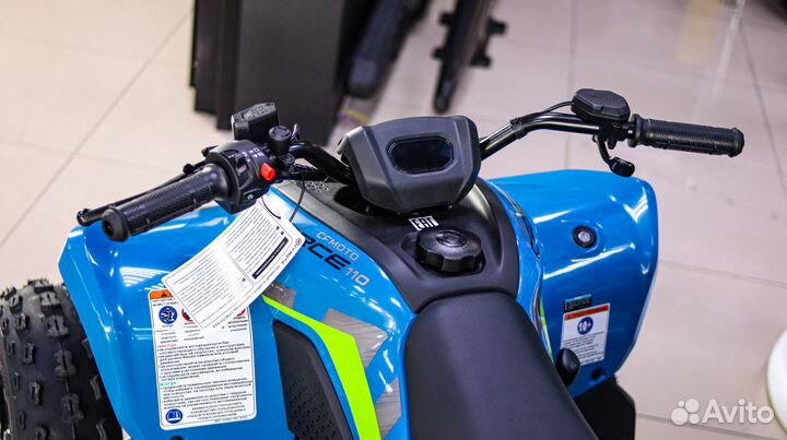 Cfmoto cforce 110