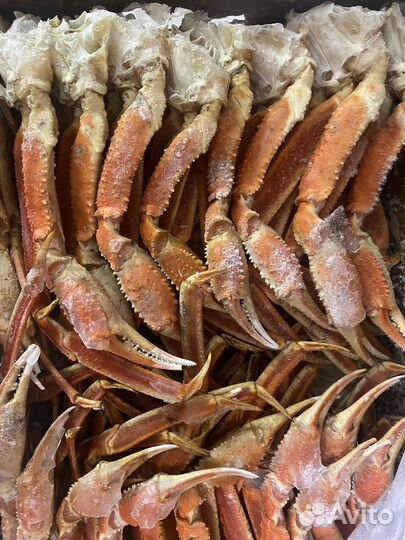 Клешни краба стригуна