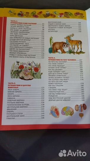 Энциклопедия для детей