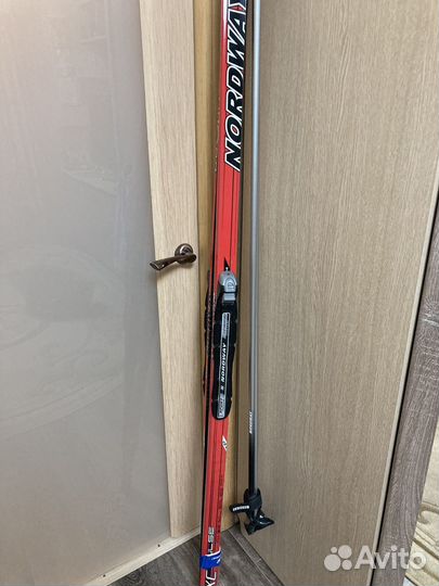 Беговые лыжи