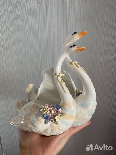 Хрустатьные лебеди