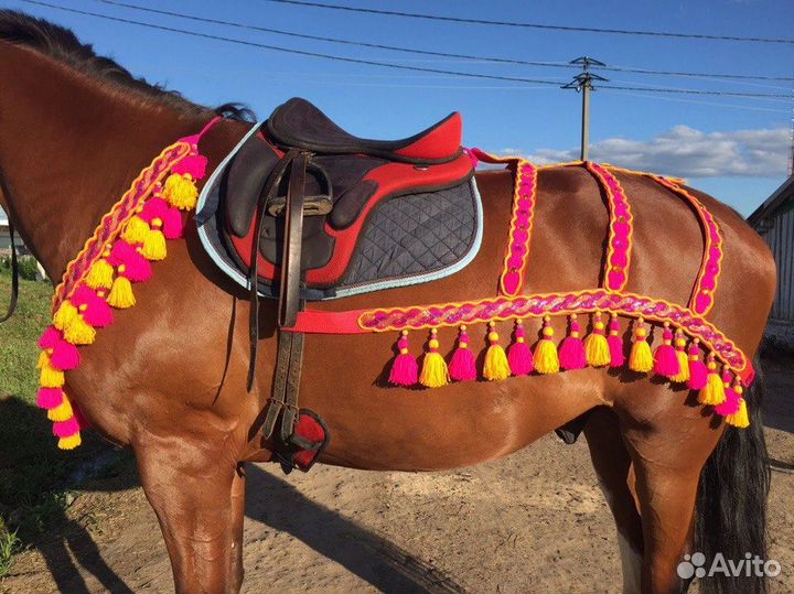 Амуниция для лошади