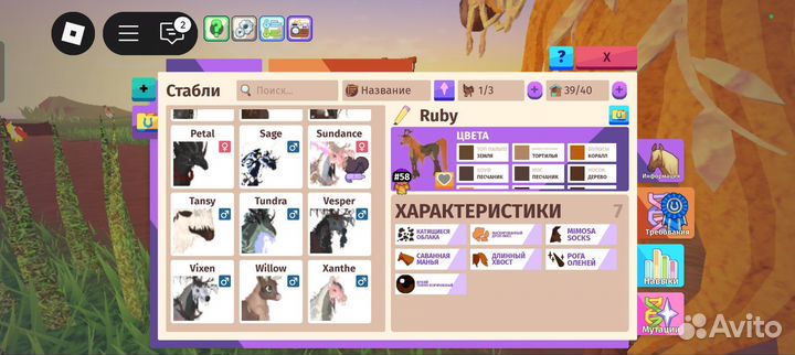 Лошадки в плейсе роблокса 